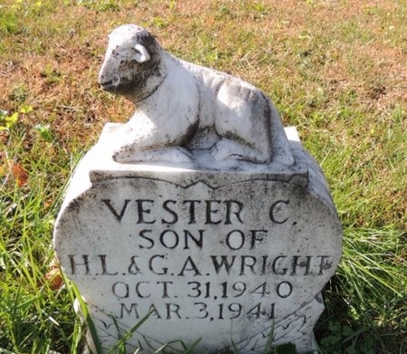 WRIGHT, VESTER C - Green County, Kentucky | VESTER C WRIGHT - Kentucky Gravestone Photos