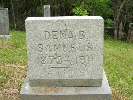 SAMUELS, DENA B. - Hardin County, Kentucky | DENA B. SAMUELS - Kentucky Gravestone Photos