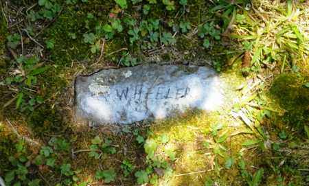 WHEELER, ? - Lawrence County, Kentucky | ? WHEELER - Kentucky Gravestone Photos