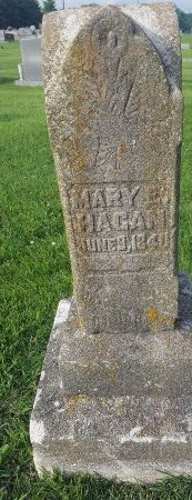 HAGAN, MARY - Union County, Kentucky | MARY HAGAN - Kentucky Gravestone Photos