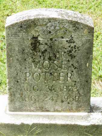 POTTER, MOSE - Warren County, Kentucky | MOSE POTTER - Kentucky Gravestone Photos