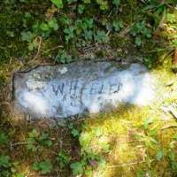 ? WHEELER